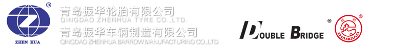 青島振華集團(tuán)有限公司